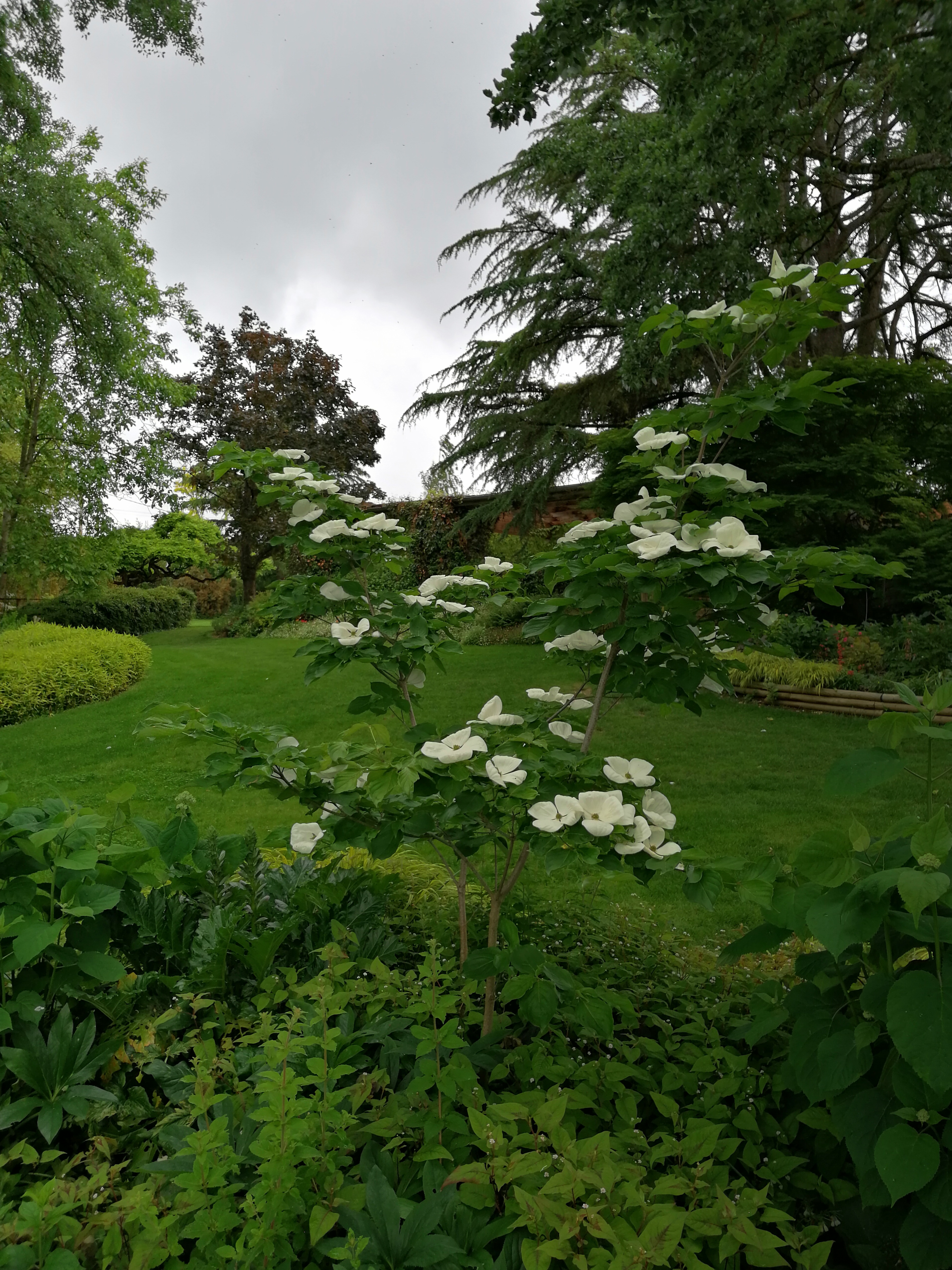 Photo n° 4 de l'avis de Vince.w fait le 26/05/2019 à 14:48