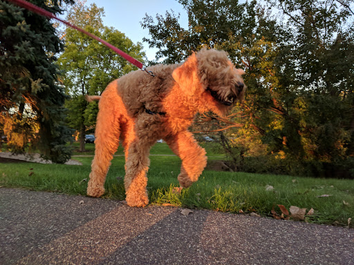 Park «Bass Lake Park», reviews and photos, 3450 Glenhurst Ave, Minneapolis, MN 55416, USA