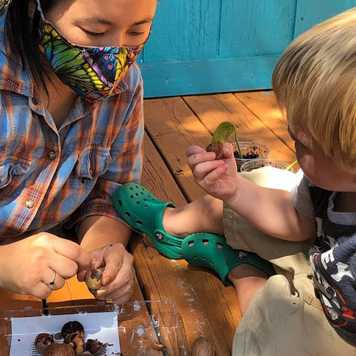 Toy Store «Toybrary Austin», reviews and photos, 2001 Justin Ln, Austin, TX 78757, USA