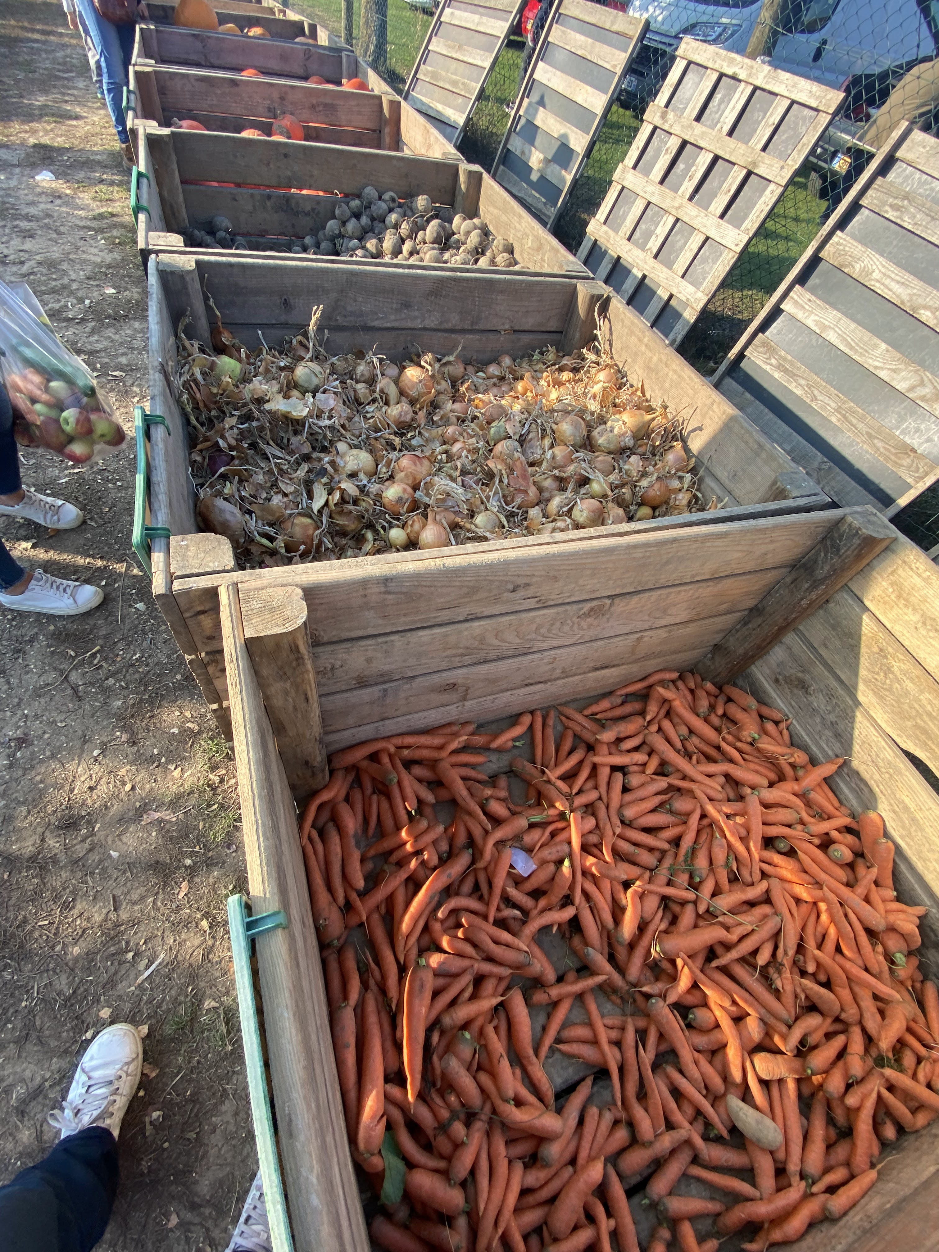 Photo n° 10 de l'avis de Épicurien. fait le 10/10/2021 à 15:22