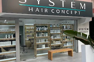 System Hair Concept image