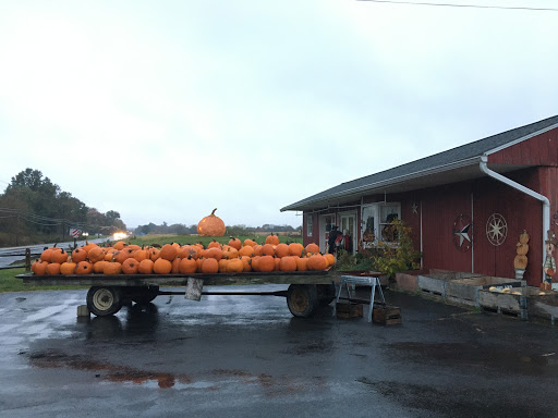 Produce Market «Solly Brothers», reviews and photos, 707 Almshouse Rd, Warminster, PA 18974, USA