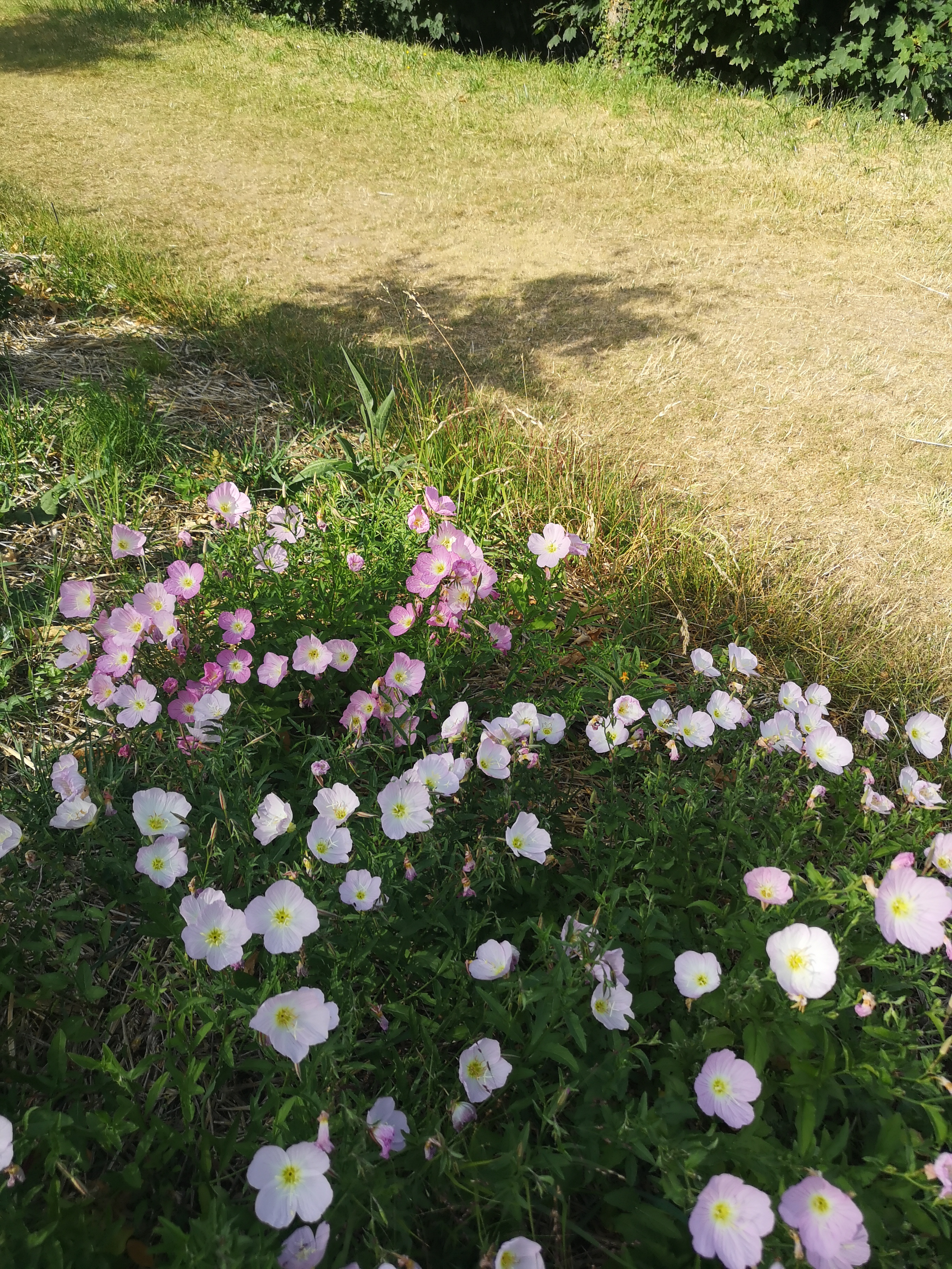 Photo n° 17 de l'avis de Jean.a fait le 22/07/2019 à 13:23