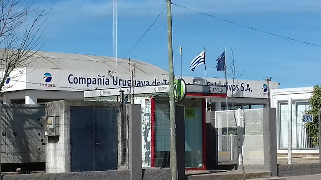 Opiniones de Cutcsa, Planta Veracierto en Ciudad del Plata - Servicio de mensajería