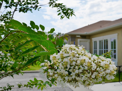 Funeral Home «Blount & Curry Funeral Home - Carrollwood Chapel», reviews and photos, 3207 W Bearss Ave, Tampa, FL 33618, USA