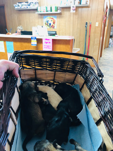 Kirbyville Veterinary Clinic