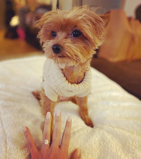 Jewelry Store «Medawar Jewelers Okemos», reviews and photos, 2168 W Grand River Ave, Okemos, MI 48864, USA