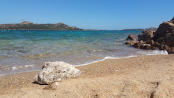 Corbezzoli Beach'in fotoğrafı vahşi alan