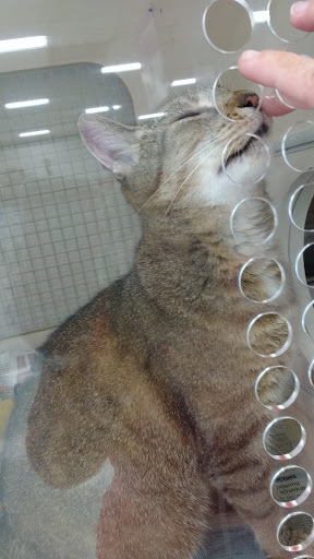 Pet Supply Store «Petco Animal Supplies», reviews and photos, 20111 US-19 #201c, Cranberry Twp, PA 16066, USA