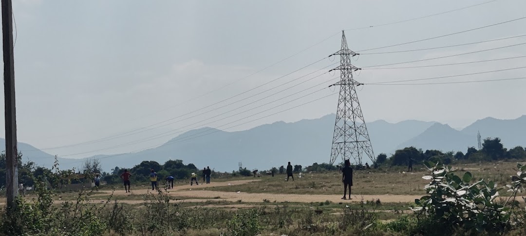 Cricket Ground