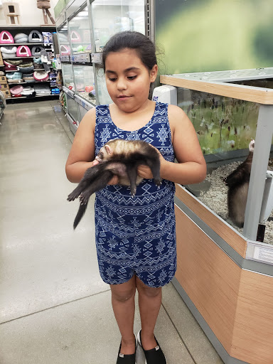 Pet Supply Store «Petco Animal Supplies», reviews and photos, 693 Middletown Warwick Rd, Middletown, DE 19709, USA