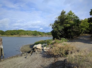 Bare Cove Park - photo 24