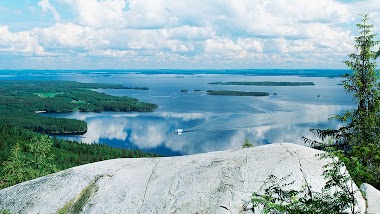 Karelian Lihajaloste Oy