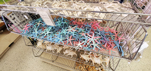 Gift Shop «Big Shark», reviews and photos, 2715 N Atlantic Ave, Daytona Beach, FL 32118, USA