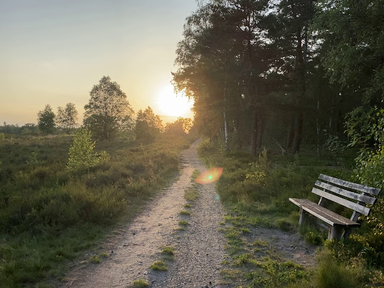 Vidéos Ferienwohnung Apartment Haus Petersen 21274 Undeloh