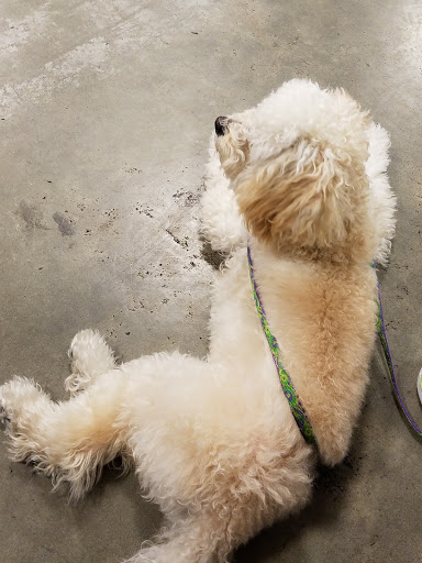 Pet Supply Store «PetSmart», reviews and photos, 595 E Hospitality Ln, San Bernardino, CA 92408, USA