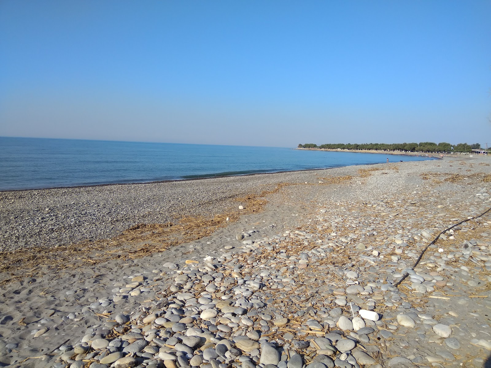 Valokuva Rapaniana beachista. pinnalla kevyt kivi:n kanssa