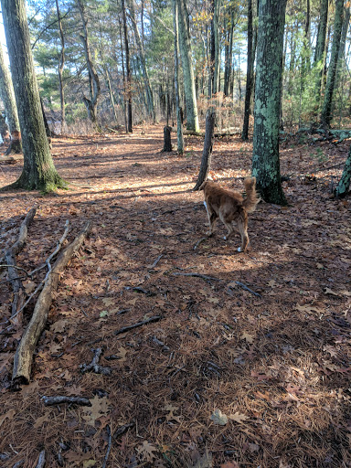 State Park «Ashland State Park», reviews and photos, 162 W Union St, Ashland, MA 01721, USA