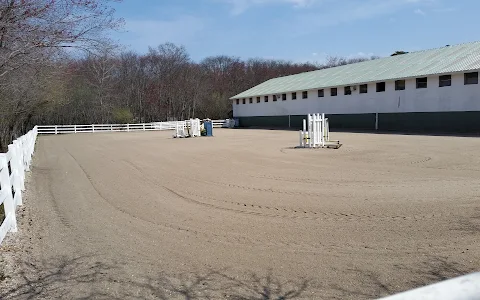 Chestnut Bay Equestrian image