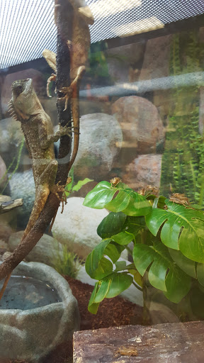 Pet Supply Store «Petco Animal Supplies», reviews and photos, 7215 170th Ave NE #115, Redmond, WA 98052, USA