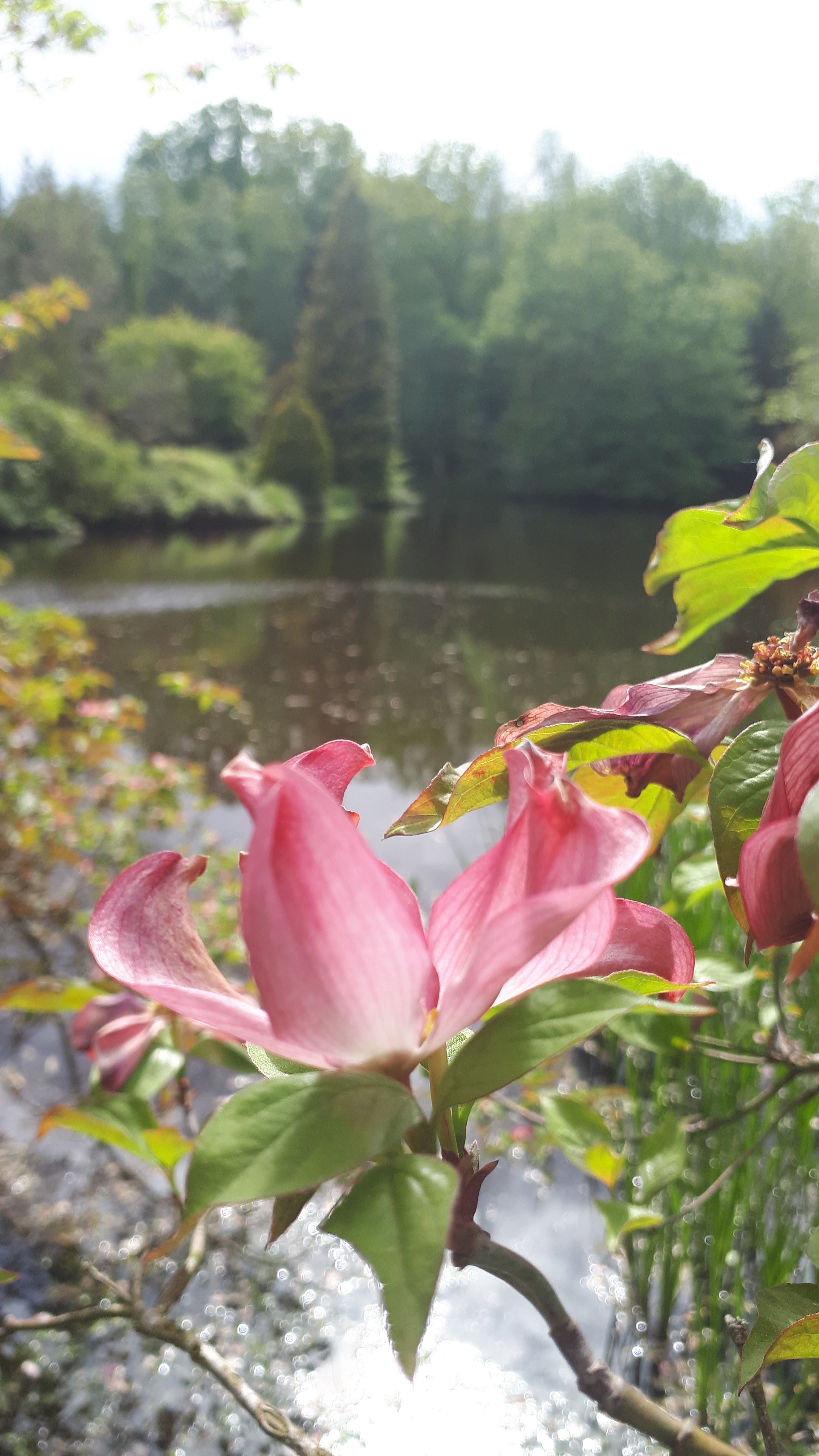 Photo n° 3 de l'avis de Christine.t fait le 25/05/2019 à 16:31