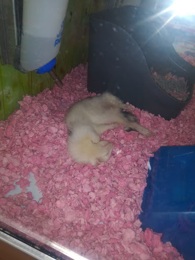 Pet Supply Store «Petco Animal Supplies», reviews and photos, 8909 Branch Ave d, Clinton, MD 20735, USA