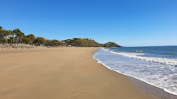 Zdjęcie Blacks Beach z proste i długie