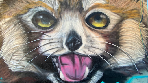 Pet Supply Store «Park Feed Store & Pet Supply», reviews and photos, 5775 Park Blvd N, Pinellas Park, FL 33781, USA