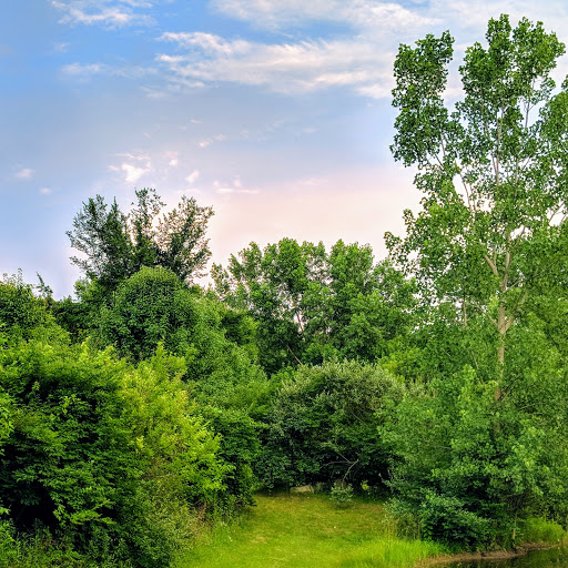 ML Red Trabue Nature Reserve image 10