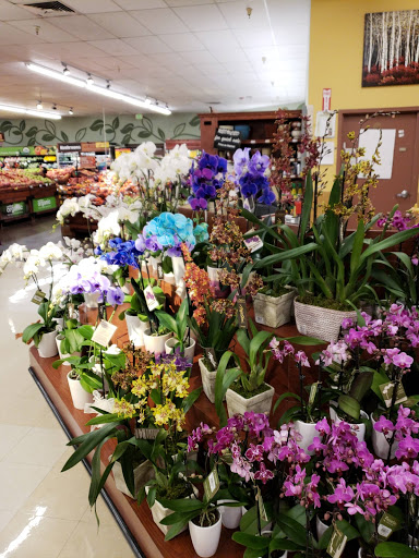 Grocery Store «City Market», reviews and photos, 72 Beaver Creek Pl, Avon, CO 81620, USA