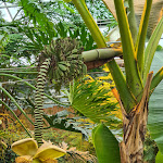 Photo n° 5 de l'avis de Marie-Paule.H fait le 17/11/2023 à 22:28 pour Parc Terra Botanica à Angers