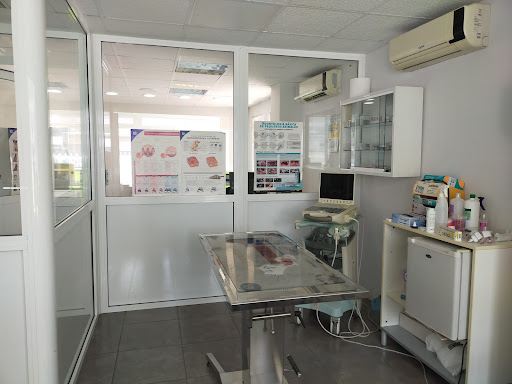 Clínica Veterinaria Vetaverso en Platja de Gandia