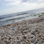 Photo n°4 de l'avis de Alessandro.a fait le 11/05/2019 à 21:37 sur le  Funtana Meiga à Cabras