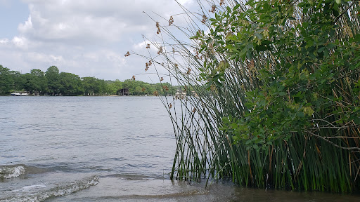 Art Museum «The Contemporary Austin», reviews and photos, 3809 W 35th St, Austin, TX 78703, USA