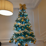 Photo n°2 de l'avis de Emiliana.o fait le 09/12/2023 à 18:37 sur le  Hotel Mirti à Rome