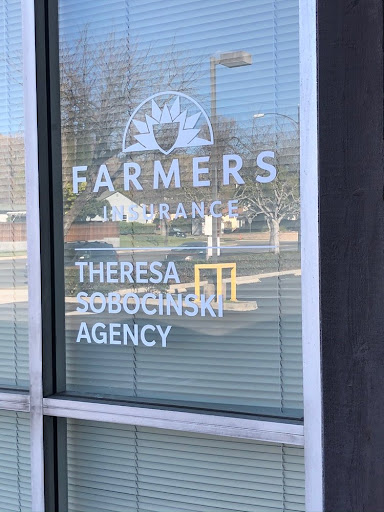 Farmers Insurance - Theresa Sobocinski