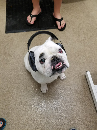 Pet Supply Store «Petco Animal Supplies», reviews and photos, 1203 SE Everett Mall Way f, Everett, WA 98208, USA