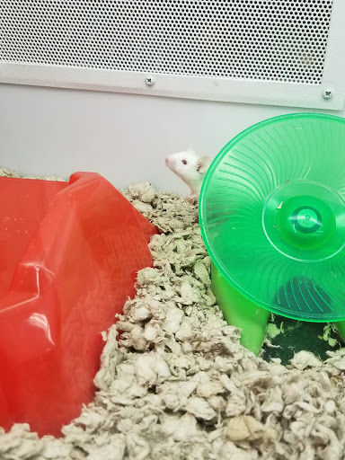 Pet Supply Store «Petco Animal Supplies», reviews and photos, 210 Fortune Blvd, Milford, MA 01757, USA