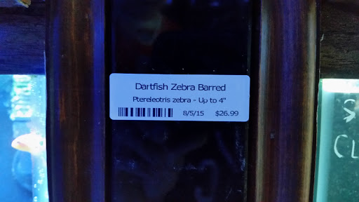 Tropical Fish Store «Beyond the Reef», reviews and photos, 205 W Golf Rd, Schaumburg, IL 60195, USA