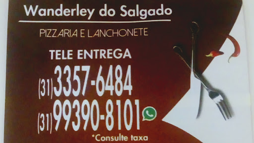 Logo da empresa - Wanderlei do salgado e pizzaria