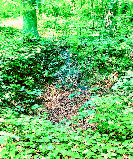 Tourist Attraction «North Anna Battlefield Park», reviews and photos, 11576 Verdon Rd, Doswell, VA 23047, USA