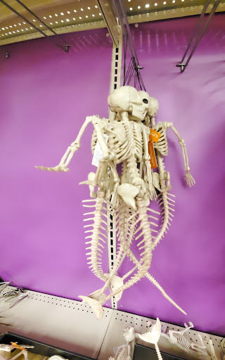 Grocery Store «King Soopers», reviews and photos, 995 S Hover Rd, Longmont, CO 80501, USA