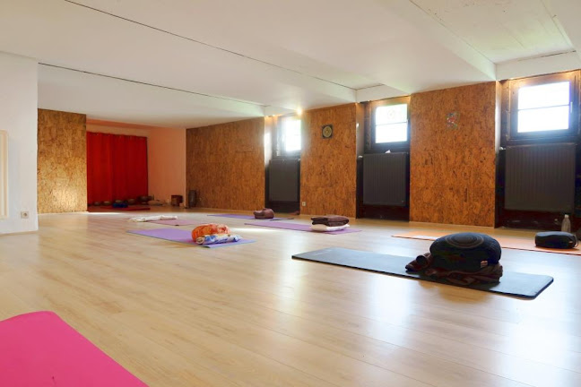 VIVRE CARPE DIEM - Yoga studio