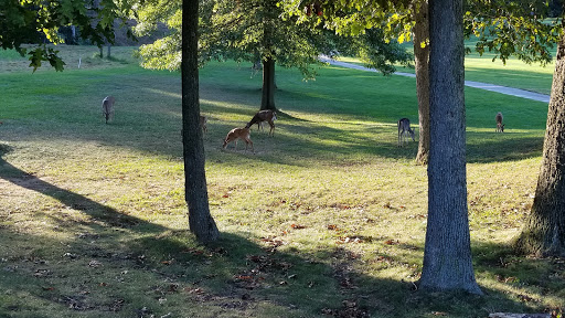 Golf Course «Springfield Twp Golf Course», reviews and photos, 400 W Sproul Rd, Springfield, PA 19064, USA