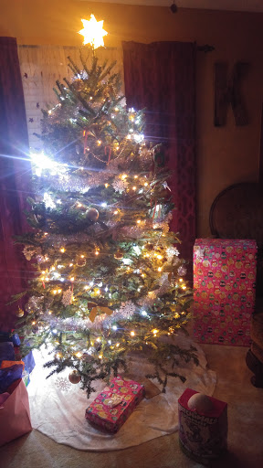 Community Center «AYERSWORTH GLEN», reviews and photos, Ayersworth Glen Blvd, Wimauma, FL 33598, USA