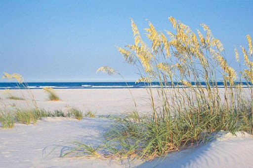 Linens Store «Seaside Linen & Rental Company», reviews and photos, 4505 Technology Dr, Wilmington, NC 28405, USA