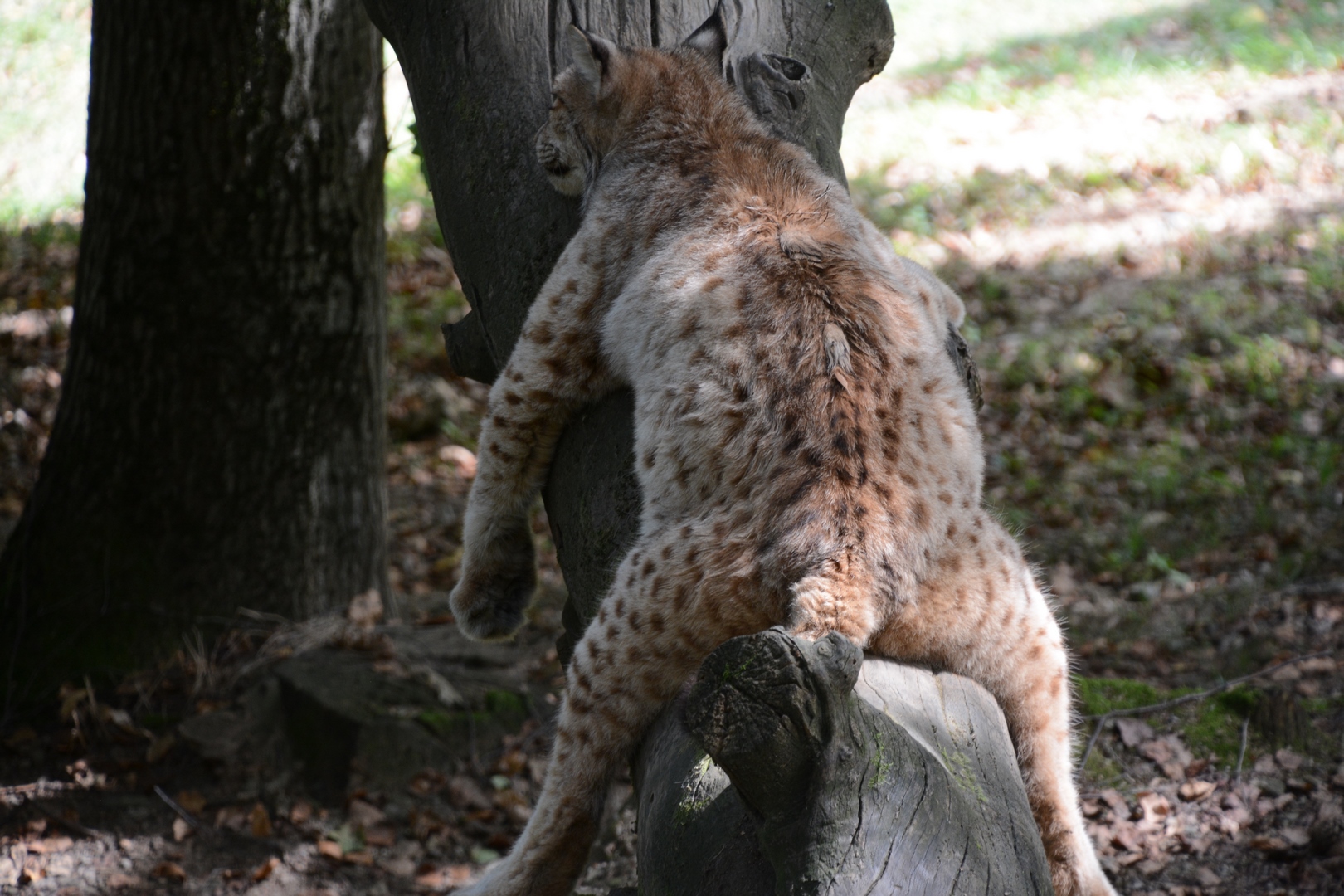 Photo n° 11 de l'avis de Laurent.E fait le 19/09/2023 à 20:20