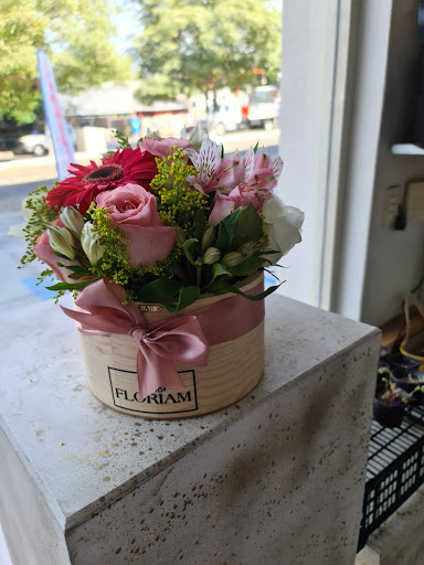 FLORIAM BOUTIQUE – Colima