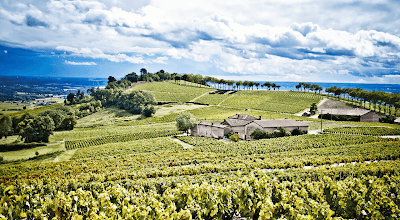 Château de Poncié à Fleurie
