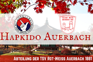 Hapkido - TSV Rot-Weiss Auerbach 1881 e.V. image